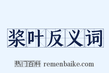 桨叶反义词是什么意思的图片